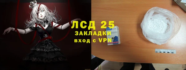 ПСИЛОЦИБИНОВЫЕ ГРИБЫ Арсеньев