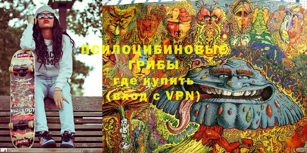 молекула духа Армянск