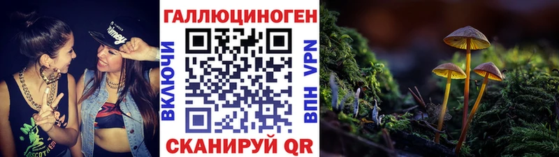 где купить   Бронницы  Галлюциногенные грибы Magic Shrooms 